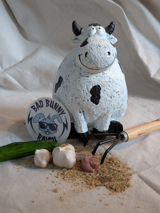 Ranch Dust Spicy  - | 2oz | blended herbs and spices seasoning